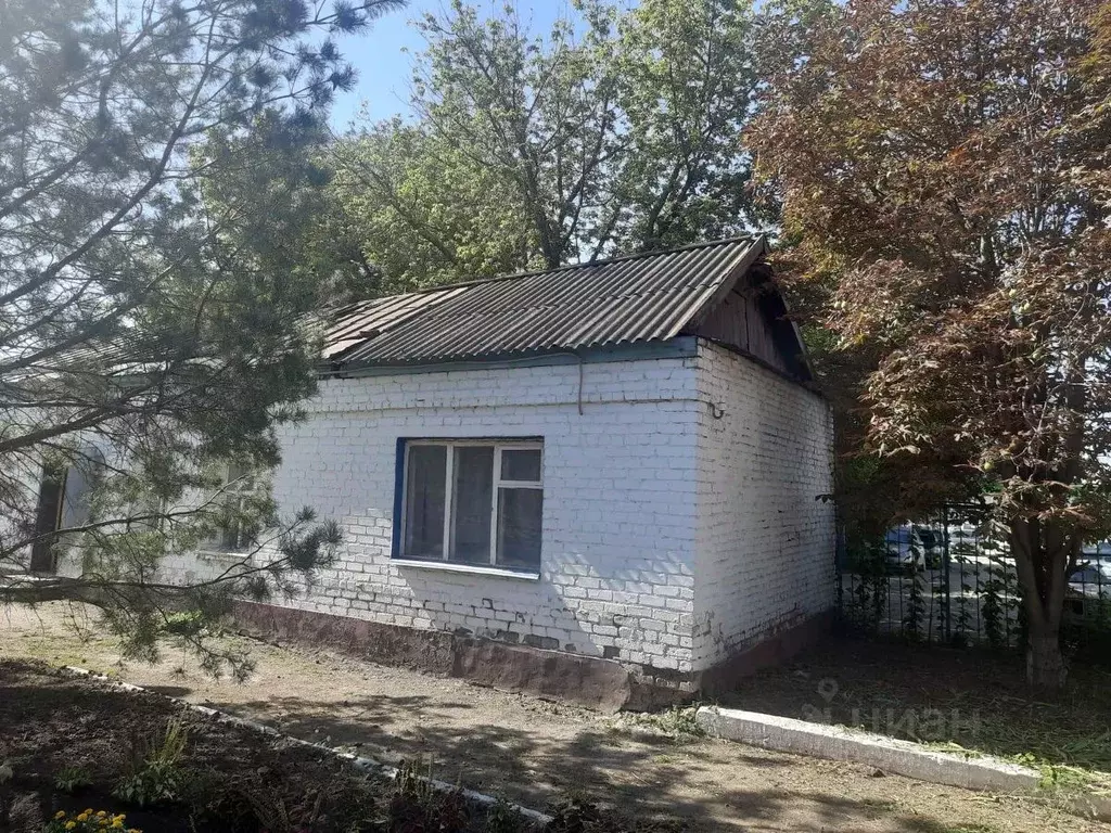 Помещение свободного назначения в Саратовская область, Красный Кут ул. ... - Фото 2