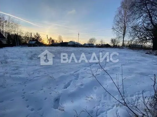 Участок в Иркутская область, Шелеховский район, Баклашинское ... - Фото 1