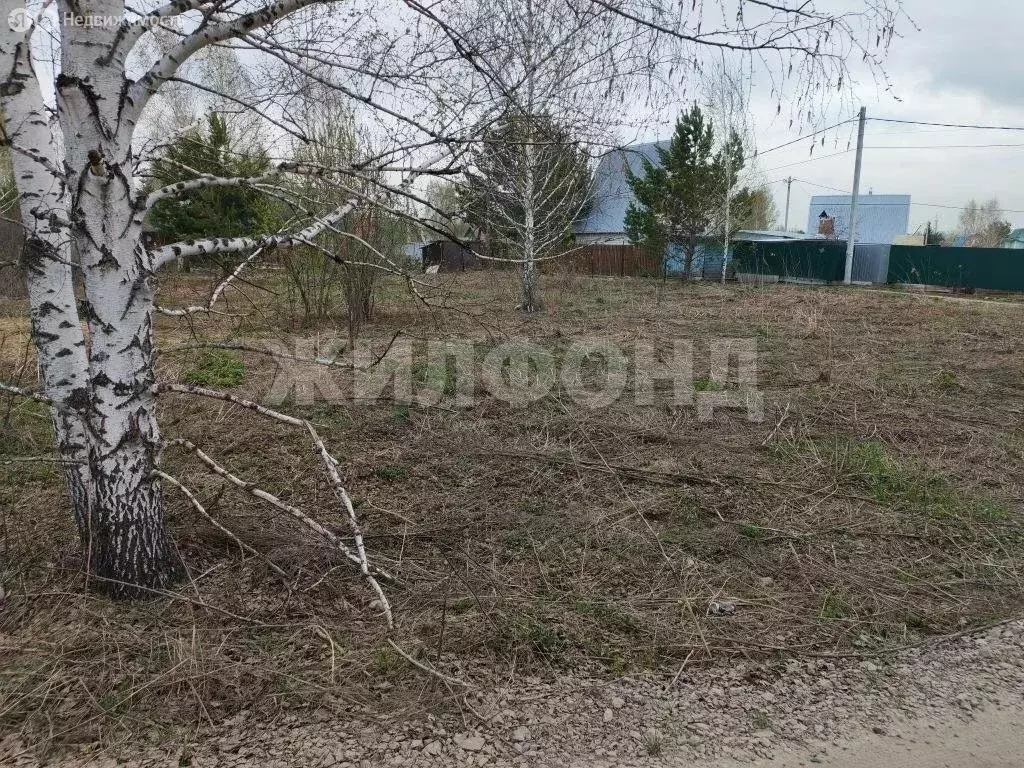 Участок в Новолуговской сельсовет, НСТ Мелиоратор, Лесная улица (12 м) - Фото 2