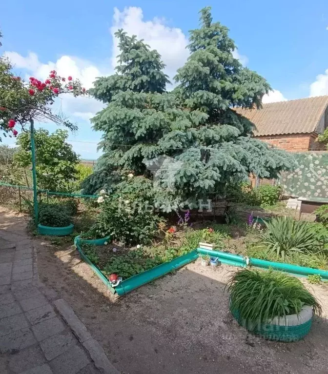 Дом в Нижегородская область, Павлово Красноармейская ул. (45 м) - Фото 1