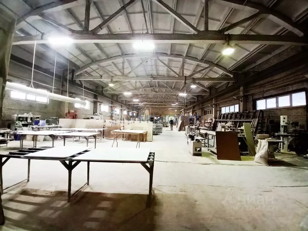 Производственное помещение в Нижегородская область, Бор ... - Фото 2