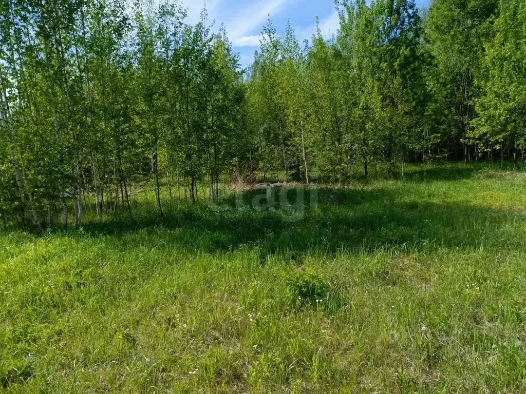 Участок в Марий Эл, Медведевский район, Пекшиксолинское с/пос, пос. ... - Фото 1