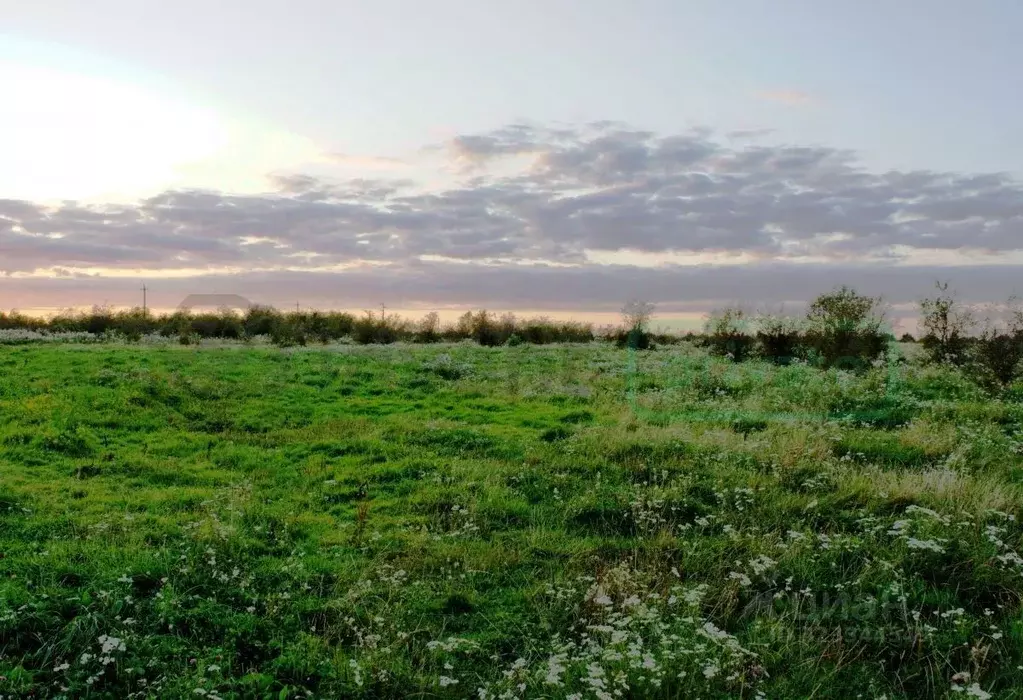 Участок в Калининградская область, Багратионовский муниципальный ... - Фото 2