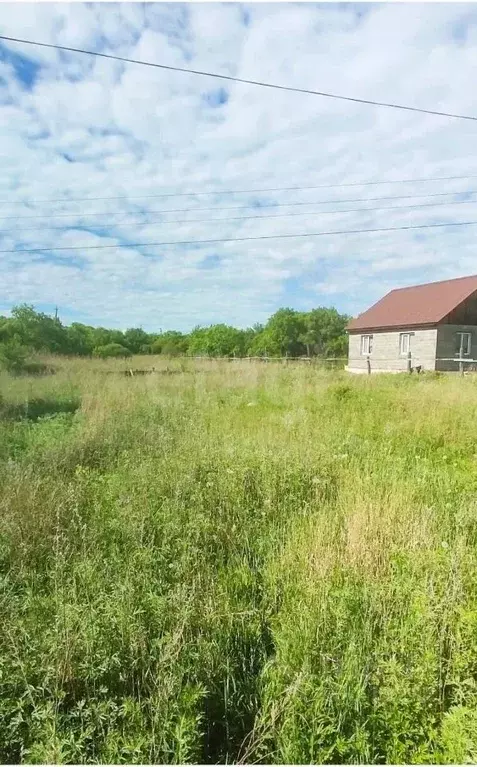 Участок в Амурская область, Благовещенский район, с. Новотроицкое  ... - Фото 1