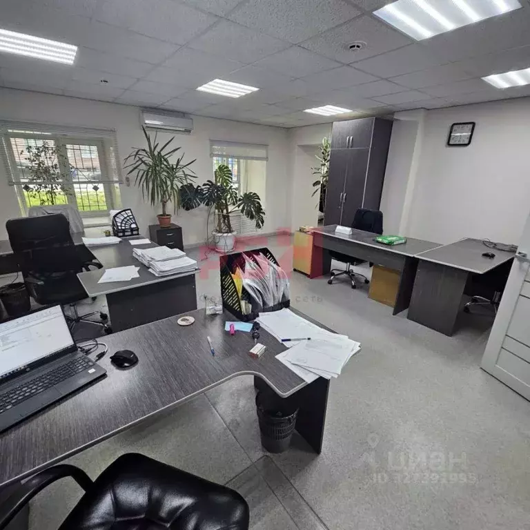 Офис в Курганская область, Курган ул. Красина, 56 (58 м) - Фото 2