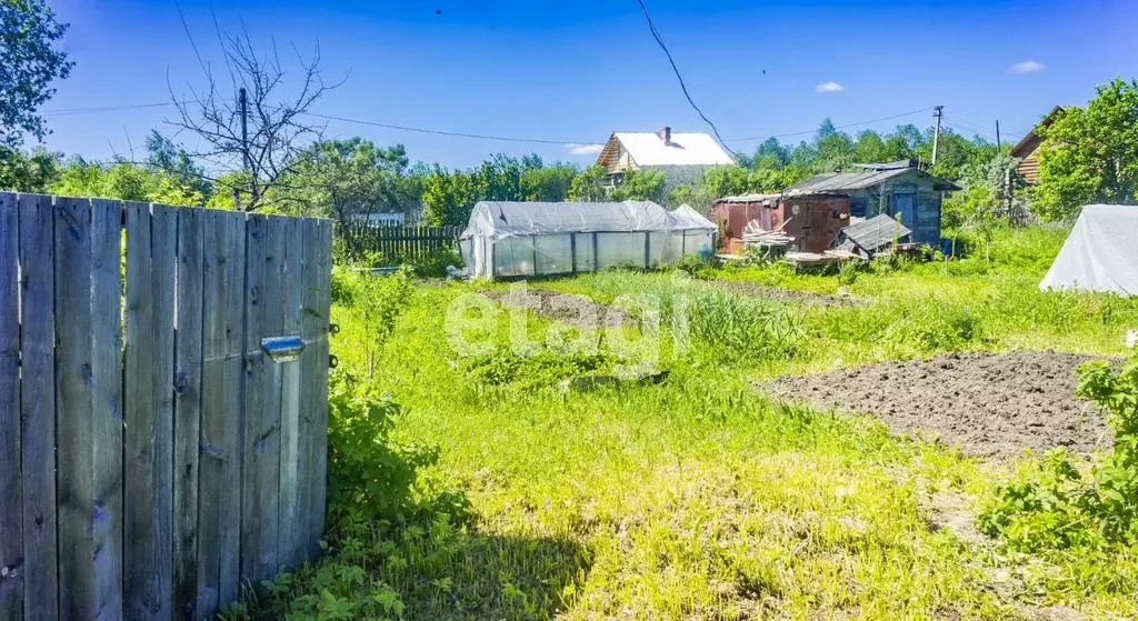 Участок в Вологодская область, Авиатор садоводческое товарищество  ... - Фото 1