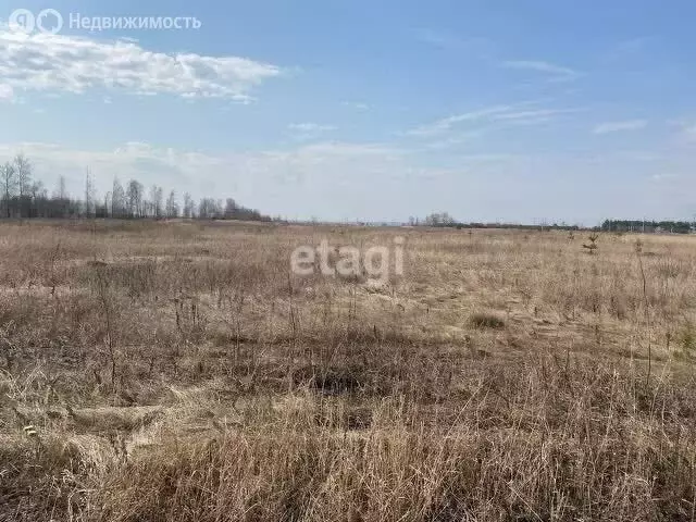 Участок в Тукаевский район, Малошильнинское сельское поселение, село ... - Фото 1