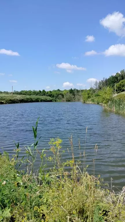 Участок в Саратовская область, Красноармейск  (2.0 сот.) - Фото 2