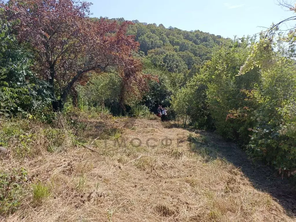 Участок в Краснодарский край, Туапсинский муниципальный округ, ... - Фото 1