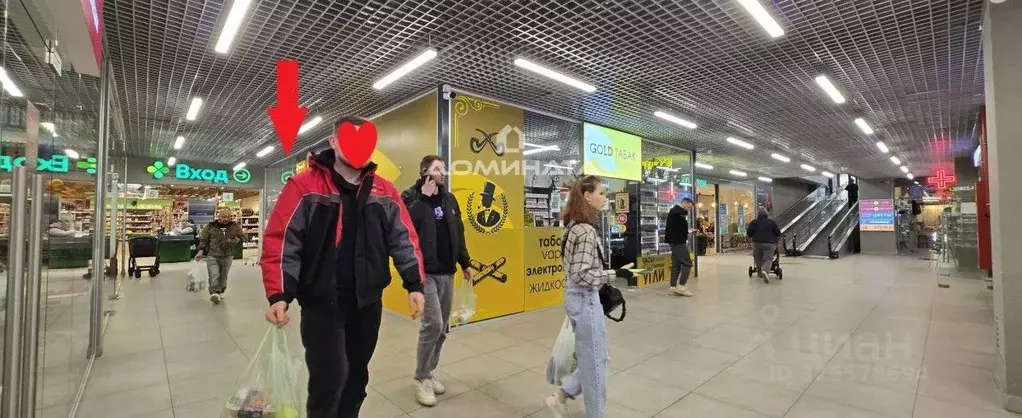 Помещение свободного назначения в Санкт-Петербург Комендантский ... - Фото 1