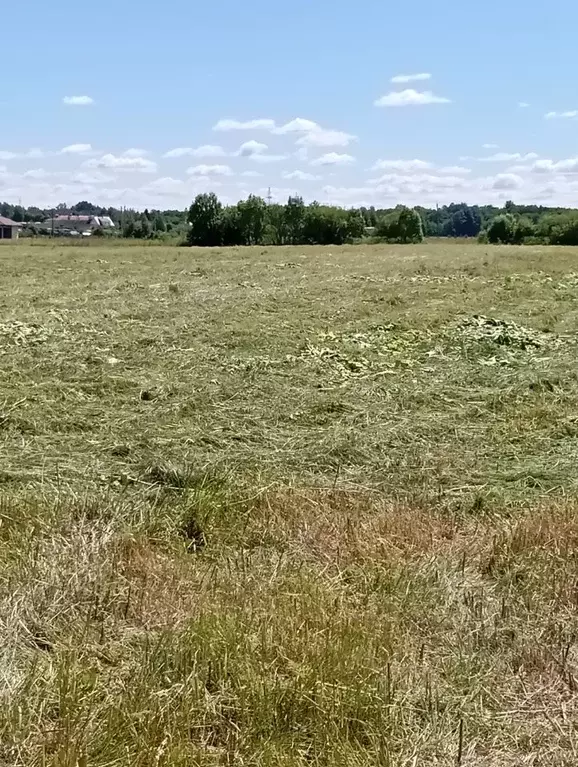 Участок в Ленинградская область, Кингисеппский район, Большелуцкое ... - Фото 1