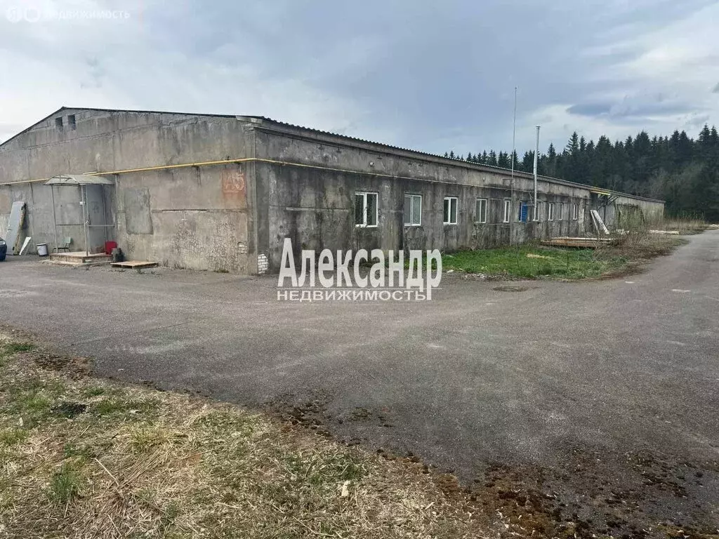Помещение свободного назначения (1715.6 м) - Фото 1