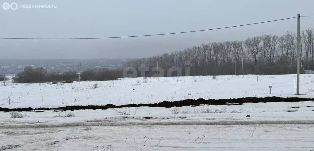 Участок в Республика Мордовия, городской округ Саранск, посёлок ... - Фото 2