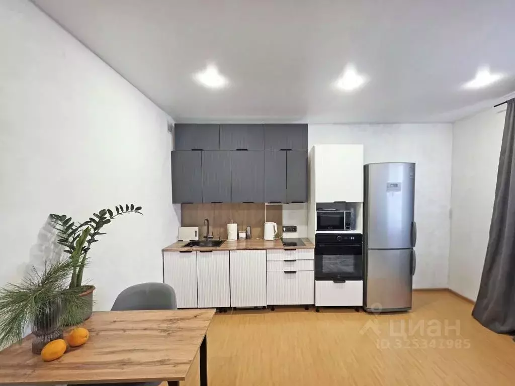 Студия Омская область, Омск ул. Малиновского, 18к2 (27.3 м) - Фото 2