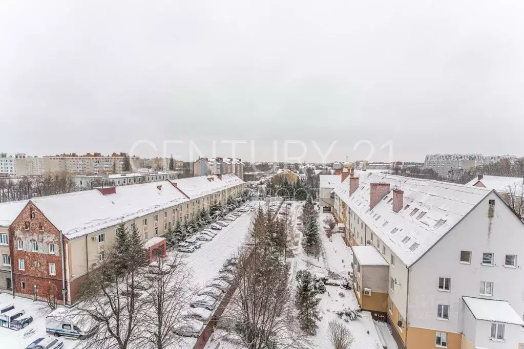 2-к кв. Калининградская область, Калининград ул. Каштановая Аллея, 169 ... - Фото 2