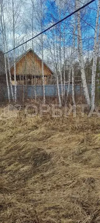 Участок в Тюменская область, Тюмень Россиянка садовое товарищество,  ... - Фото 1