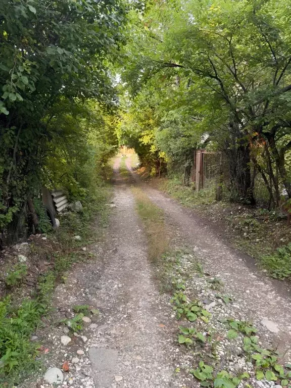 Участок в Кабардино-Балкария, Нальчик Ореховая Роща СТ, 54 (12.0 сот.) - Фото 1