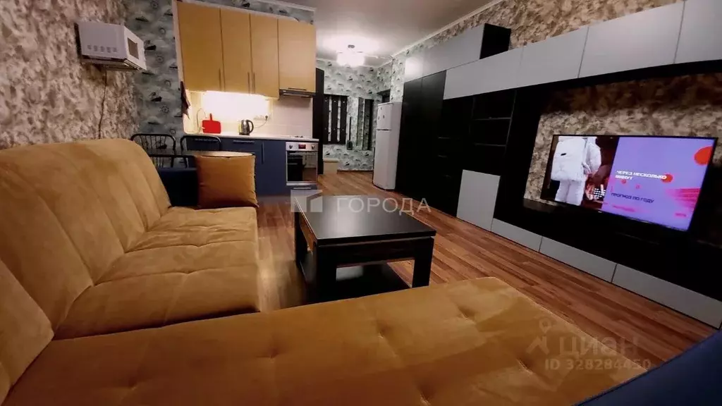 Студия Новосибирская область, Новосибирск ул. Дуси Ковальчук, 238 ... - Фото 2