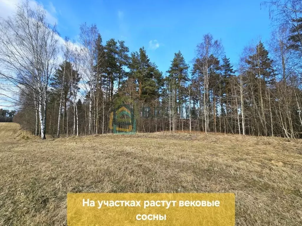 Участок в Ленинградская область, Приозерский район, пос. Сосново  ... - Фото 0