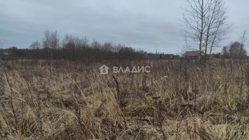 Участок в Владимирская область, Судогодский район, Лавровское ... - Фото 0