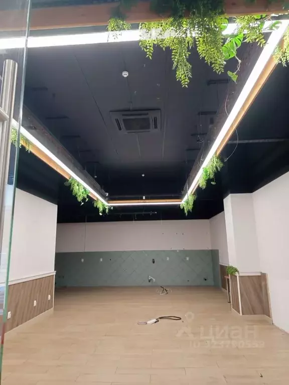 Торговая площадь в Новосибирская область, Новосибирск Красный просп., ... - Фото 2