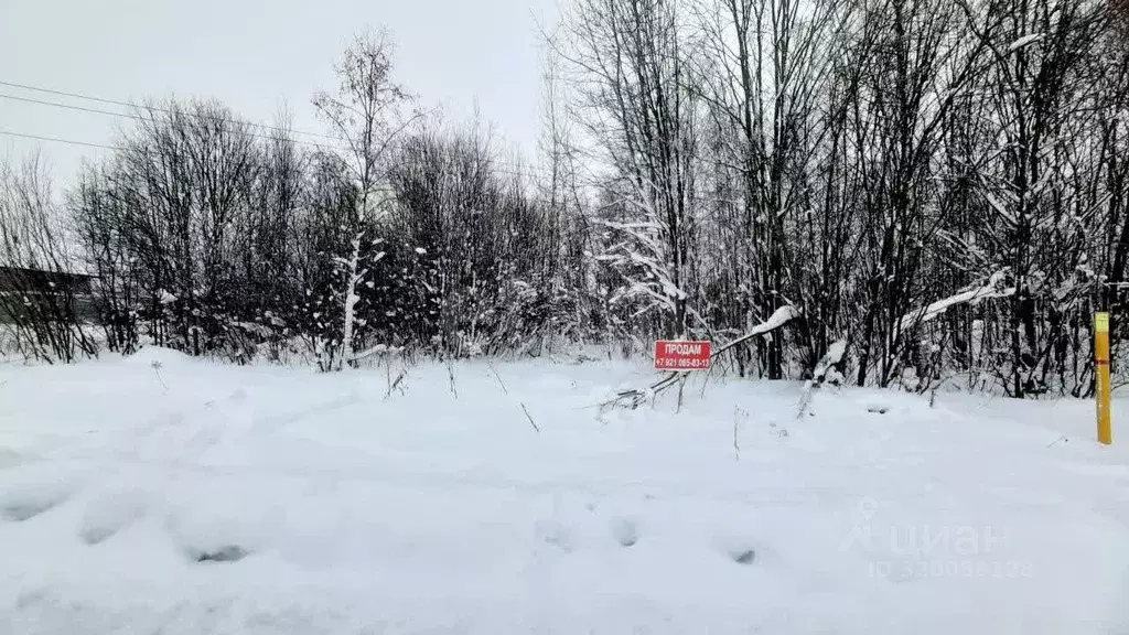 Участок в Вологодская область, Череповец 31-й мкр,  (7.63 сот.) - Фото 1