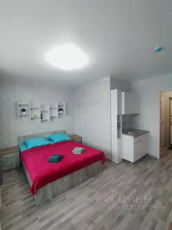 Студия Пермский край, д. Кондратово ул. Н.М. Яблокова, 3 (24.0 м) - Фото 2