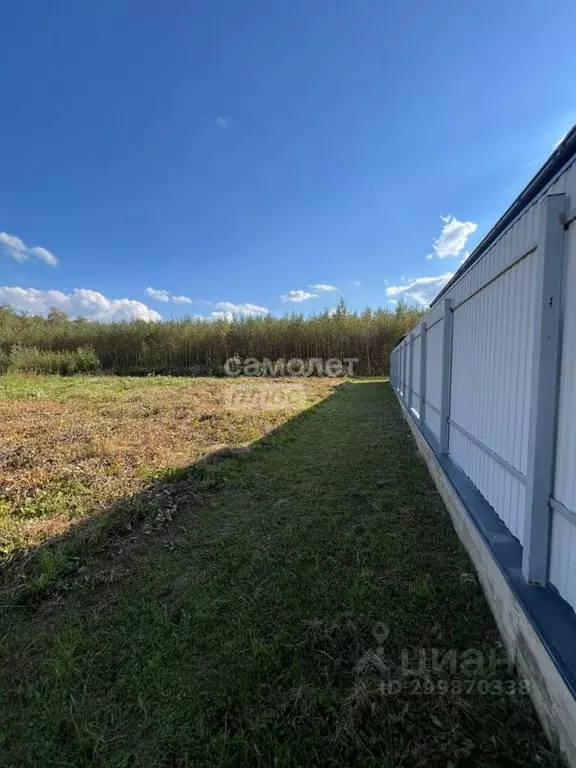 Участок в Москва Марушкинское поселение, д. Акиньшино, Акиньшино кп, ... - Фото 1