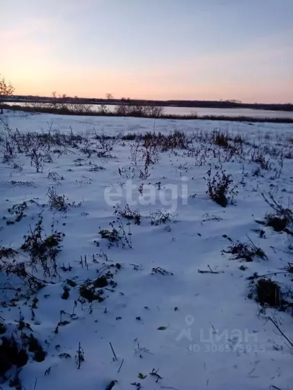 Участок в Тюменская область, с. Омутинское  (900.0 сот.) - Фото 0