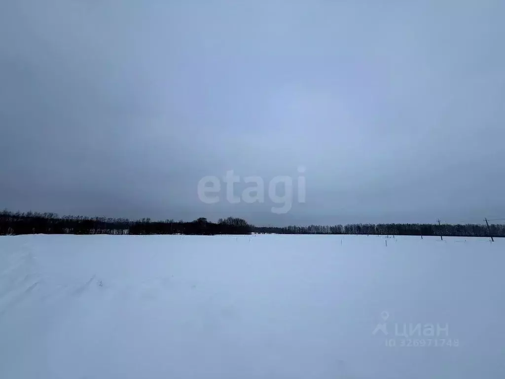 Участок в Костромская область, Красносельский район, Шолоховское ... - Фото 2