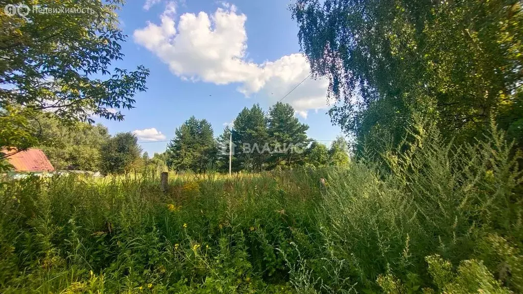 Участок в Суздальский район, муниципальное образование Селецкое, СНТ ... - Фото 1