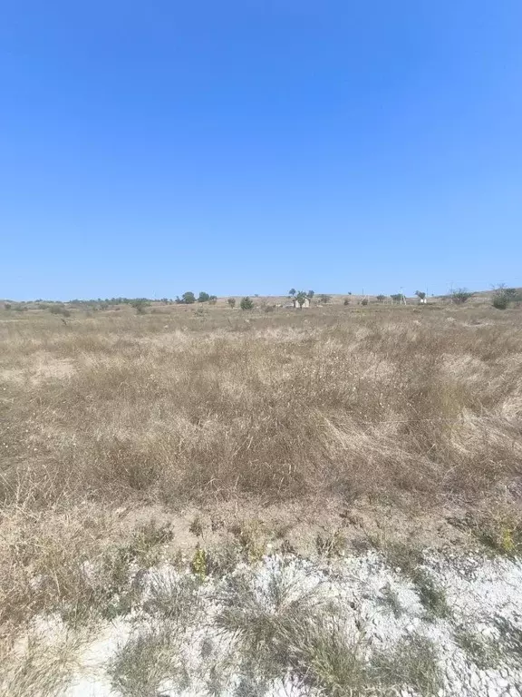 Участок в Крым, Керчь Дельфин садовое товарищество, ул. Тенистая (5.0 ... - Фото 1