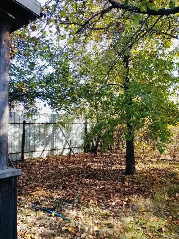 Участок в Челябинская область, Челябинск Тракторосад № 3 СНТ, дор. ... - Фото 2