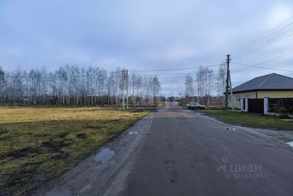 Дом в Воронежская область, с. Новая Усмань ул. Ломоносова (675 м) - Фото 1