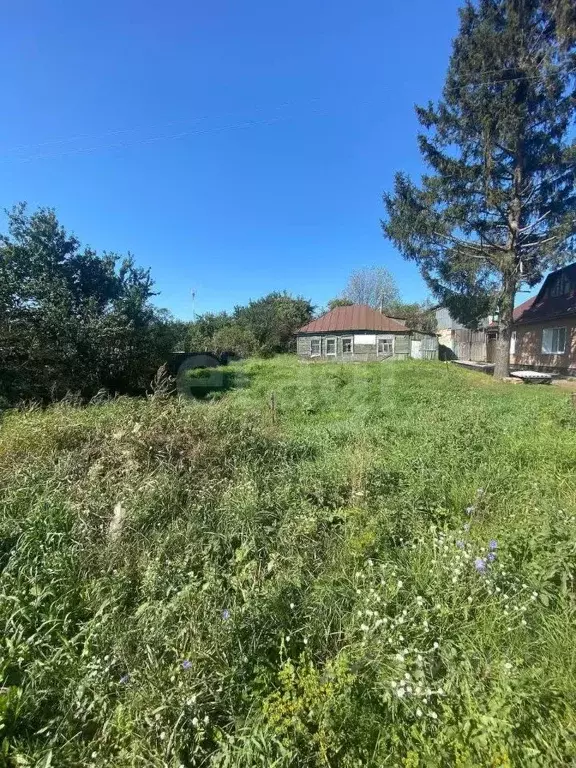 Участок в Брянская область, Выгоничское городское поселение, с. Лопушь ... - Фото 0