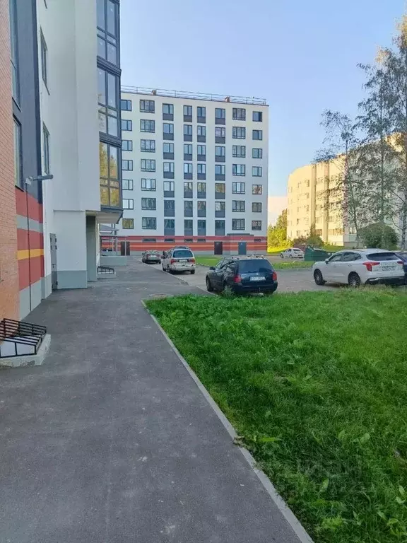 Студия Ленинградская область, Всеволожский район, Романовское с/пос, ... - Фото 0