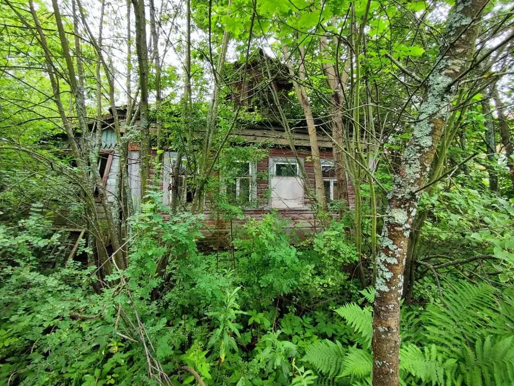 Дом в Владимирская область, Петушки Красноармейская ул., 108 (50 м) - Фото 1
