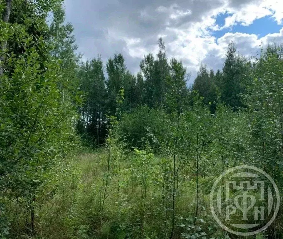 Участок в Ленинградская область, Киришский район, Кусинское с/пос, ... - Фото 0