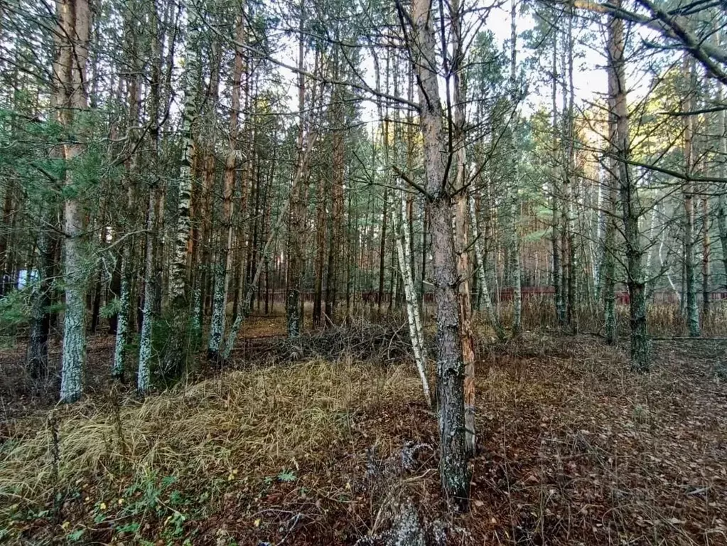 Участок в Владимирская область, Киржачский муниципальный округ, ... - Фото 1