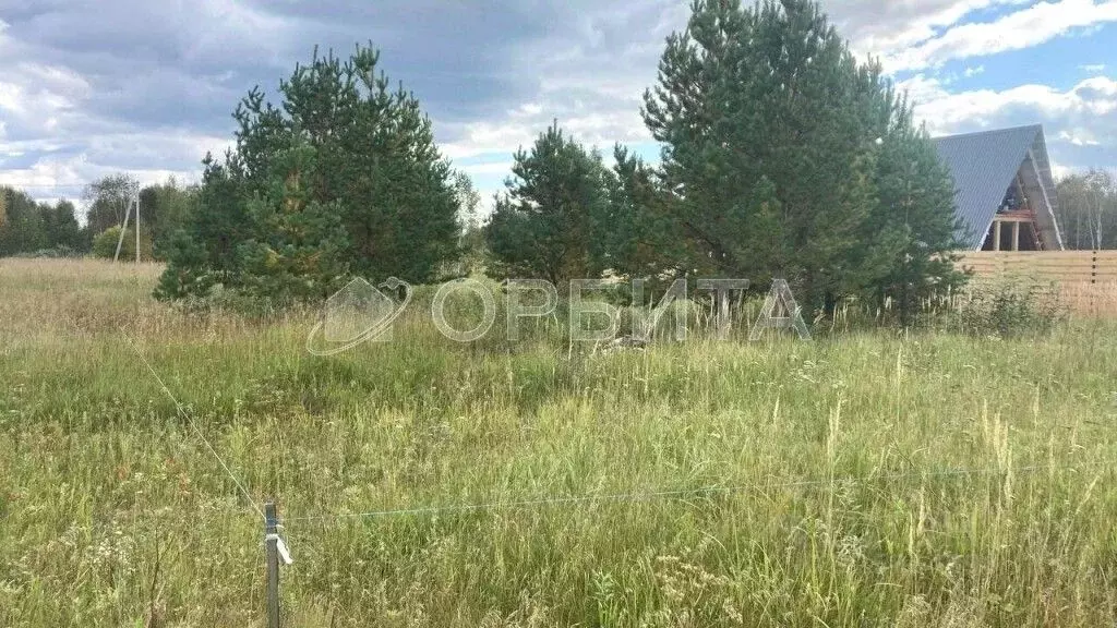 Участок в Тюменская область, Нижнетавдинский муниципальный округ, ... - Фото 2