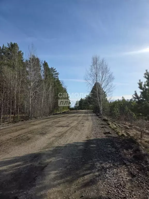Участок в Свердловская область, Слободо-Туринский район, ... - Фото 2
