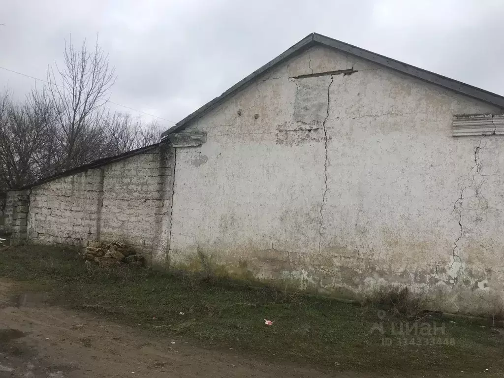 Помещение свободного назначения в Крым, Раздольненский район, ... - Фото 1