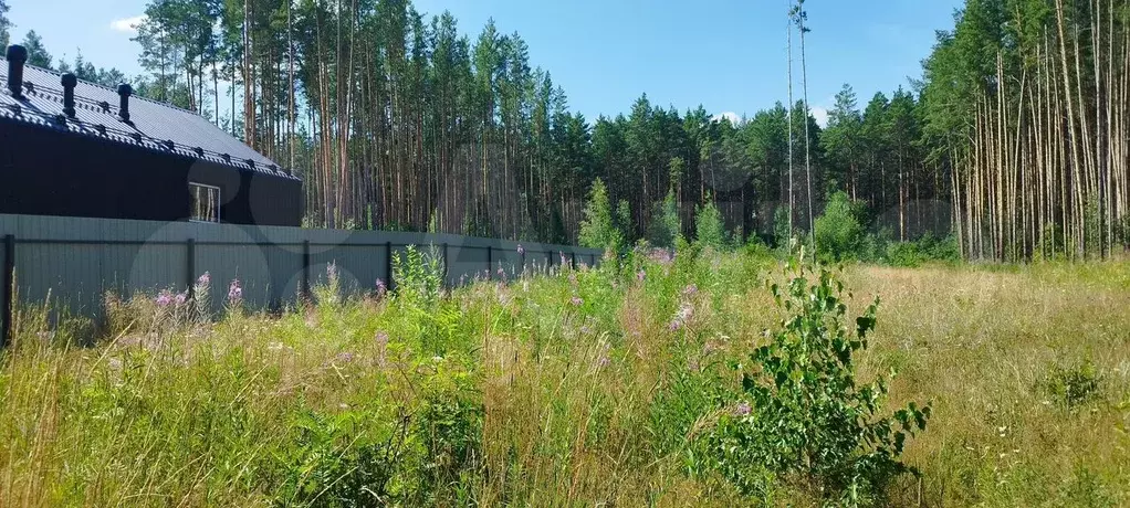 Участок 15 сот. (СНТ, ДНП) - Фото 0
