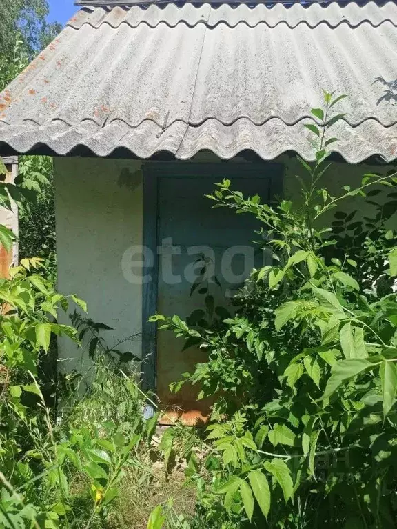 Дом в Челябинская область, Увельское с/пос, Витамин СНТ ул. ... - Фото 0