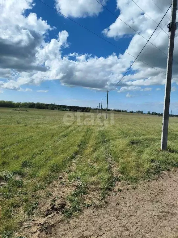 Участок в Крым, Симферопольский район, с. Урожайное, Имени Александра ... - Фото 0