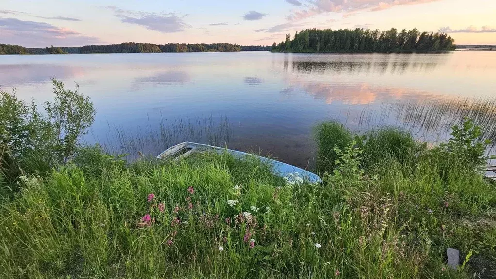 Участок в Новгородская область, Демянский муниципальный округ, д. ... - Фото 2