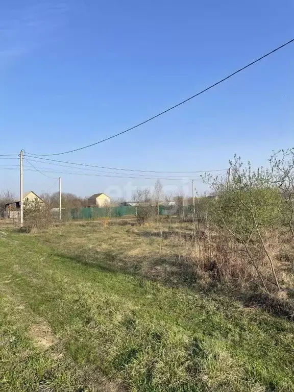 Участок в Воронежская область, с. Новая Усмань ул. Октябрьская, 1 ... - Фото 0
