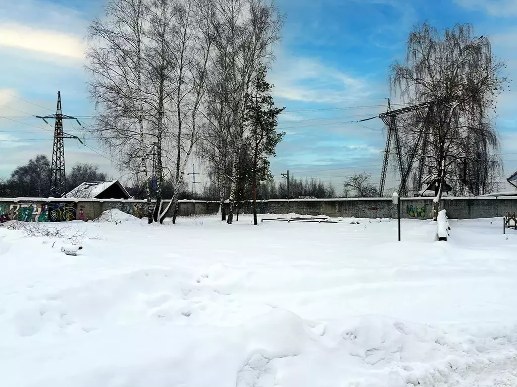 Участок в Московская область, Королев Первый кп, 58 (10.1 сот.) - Фото 2