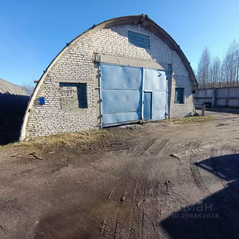 Склад в Псковская область, Псков ул. Николая Васильева, 87а (398 м) - Фото 1