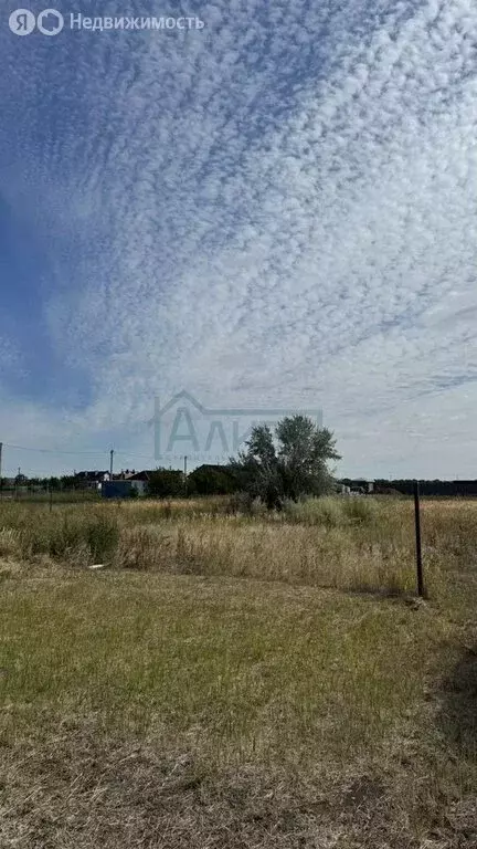 Участок в Азовский район, Обильненское сельское поселение, СНТ ... - Фото 2